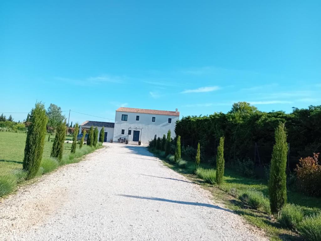 Príroda v okolí vily