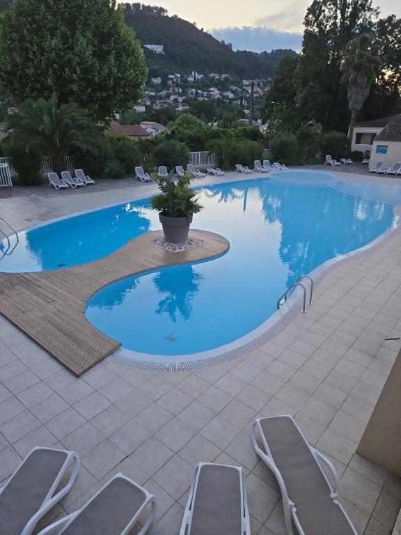 une grande piscine entourée de chaises longues. dans l'établissement Cottage varrois, à Solliès-Toucas