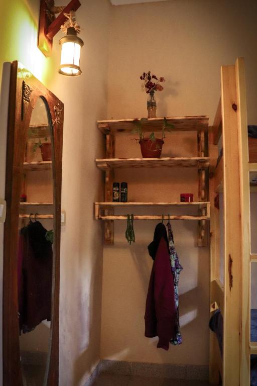 Palanda nebo palandy na pokoji v ubytování Tecoma Hostel