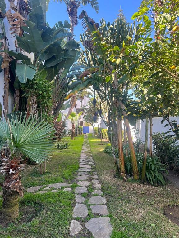 a path through a garden with trees and plants at CaboNegro Tetouan in Tetouan