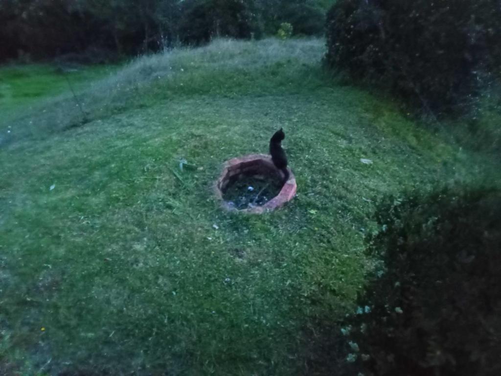 Zahrada ubytování Glampin la esperanza