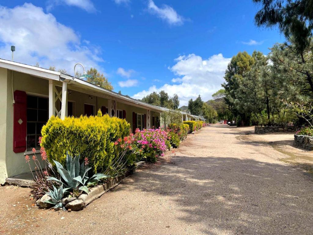 サンタクラリタにあるSierra Pelona Motelのたくさんの植物が隣に置かれた建物