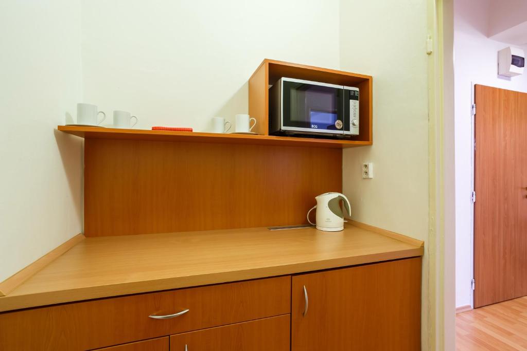 Kuchyň nebo kuchyňský kout v ubytování Hotel Veronika