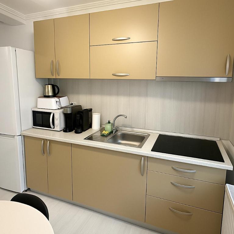 Kuchyň nebo kuchyňský kout v ubytování DD Apartments - Iuliu Moldovan