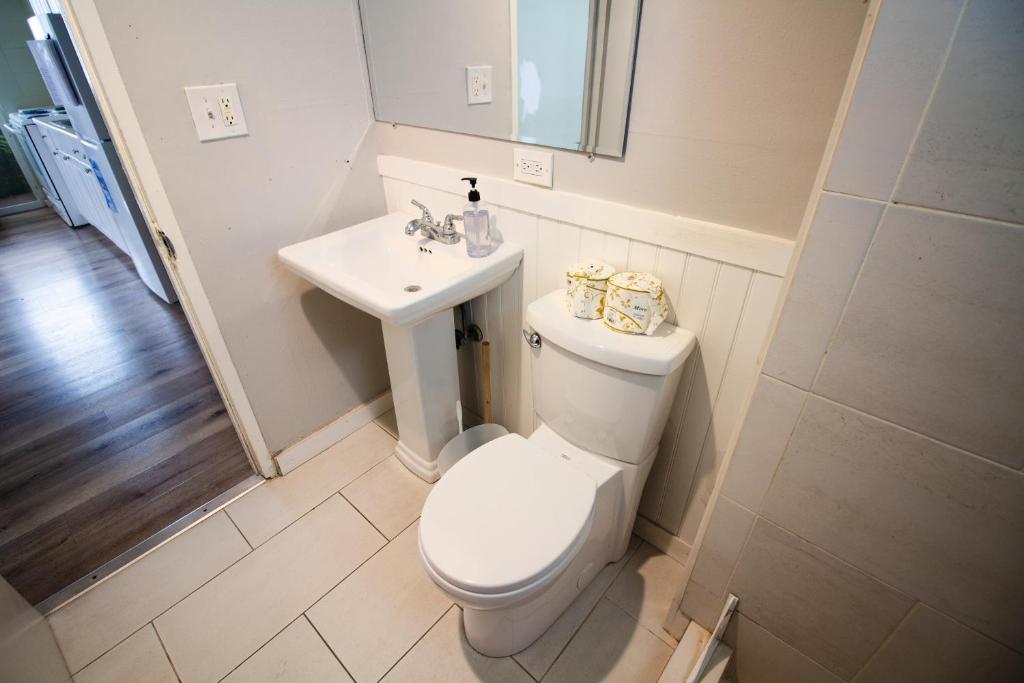 Waikiki Beachside Hostel photo