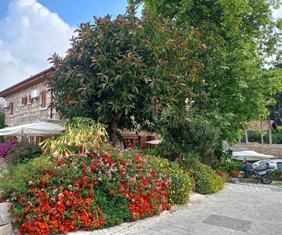 Zahrada ubytování Yükser Pansiyon