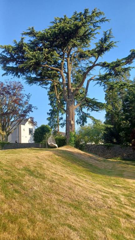 Fotografie z fotogalerie ubytování The Manse v destinaci Enniscorthy