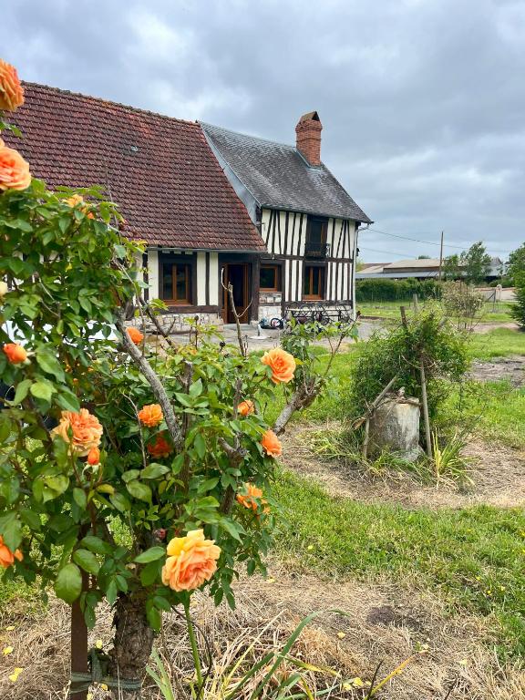 Photo de la galerie de l'établissement le relais du vélos route, à Heurteauville