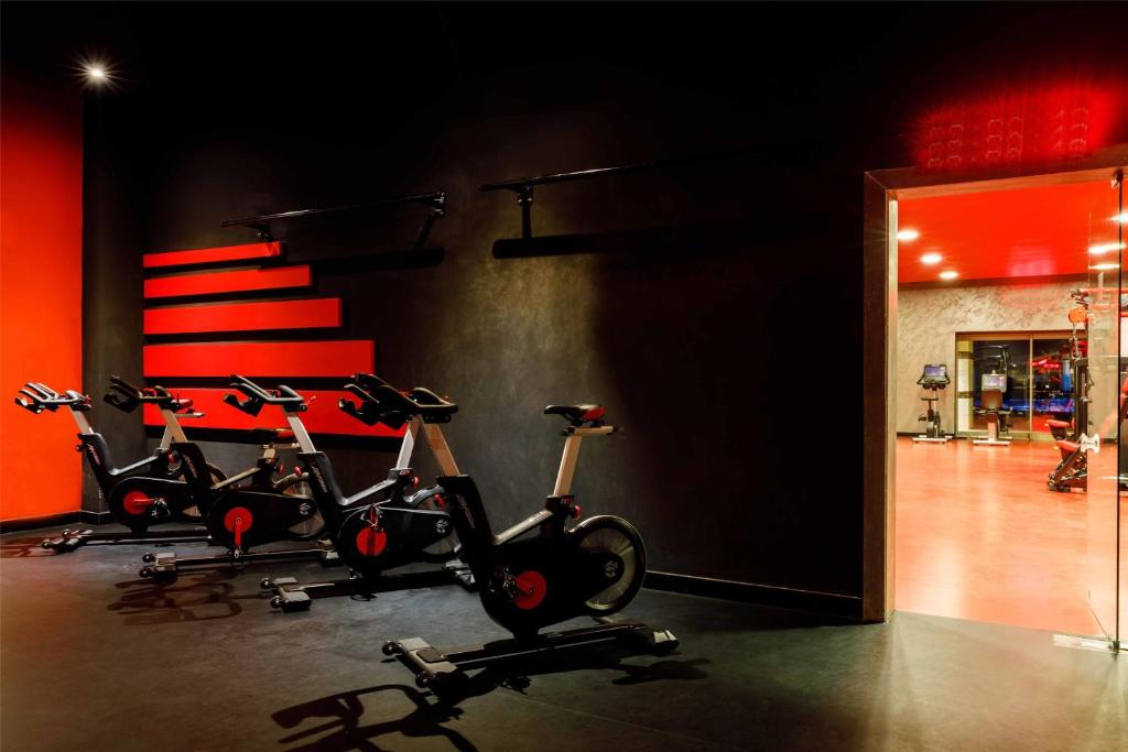 Fitness centrum a/nebo fitness zařízení v ubytování Kempinski Hotel The Dome Belek