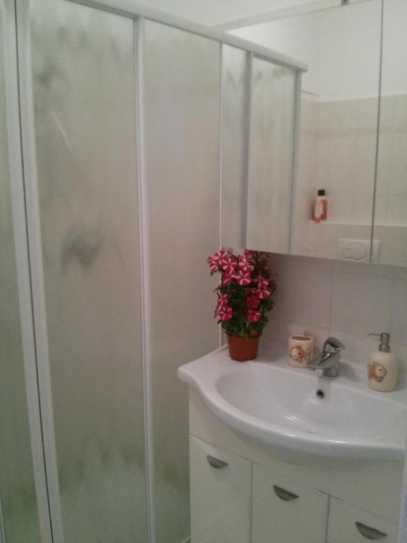 Il Nido del Cigno - 9