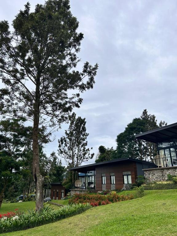 a house with a tree in front of it at Annapurna Resort Puncak in Tagalbato