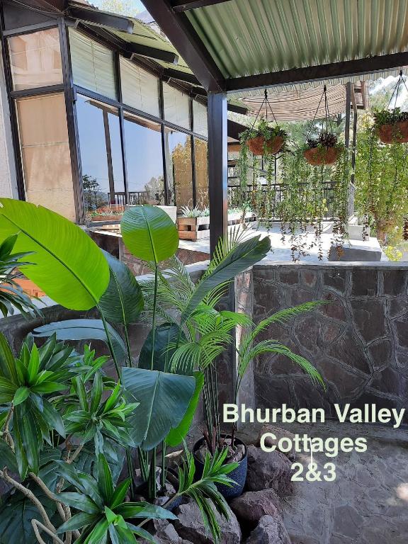 a garden with plants and a pergola at Bhurban Valley Cottages 3 in Bhurban