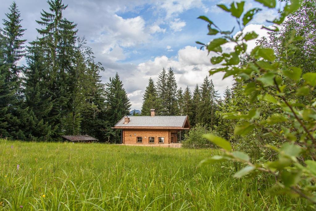 Príroda v okolí horskej chaty