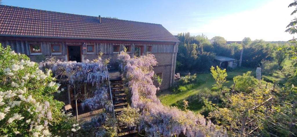 ein Haus mit einem Garten davor in der Unterkunft Dreigärten Brodowin in Brodowin