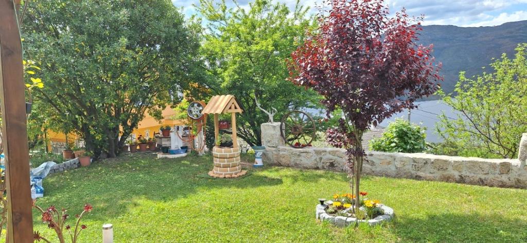 Příroda nedaleko apartmánu