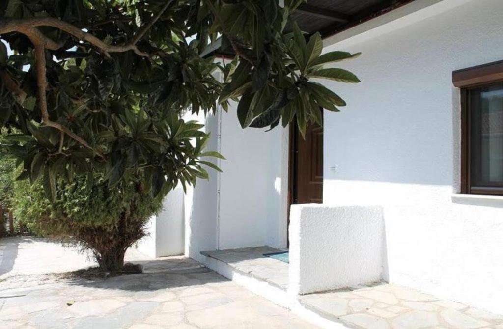 Zahrada ubytování Villa Harmony