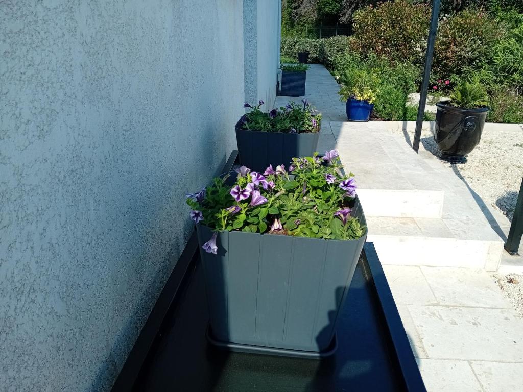 Vonkajšia záhrada v ubytovaní villa 4 étoiles avec piscine et pool house