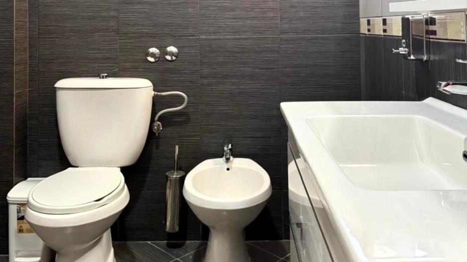 Koupelna v ubytování Triena Rooms