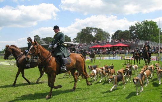 two men on horses and dogs on a field at Les Rainettes in Coye-la-For&ecirc;t