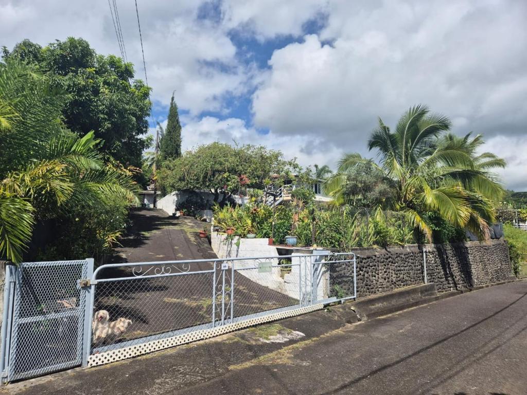 Fare La Sousto - photo 9 - Tahiti, Polynésie
