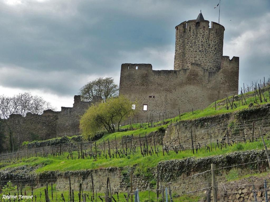 Au coeur de Kaysersberg-Le Cocon de Jeanne – photo 28