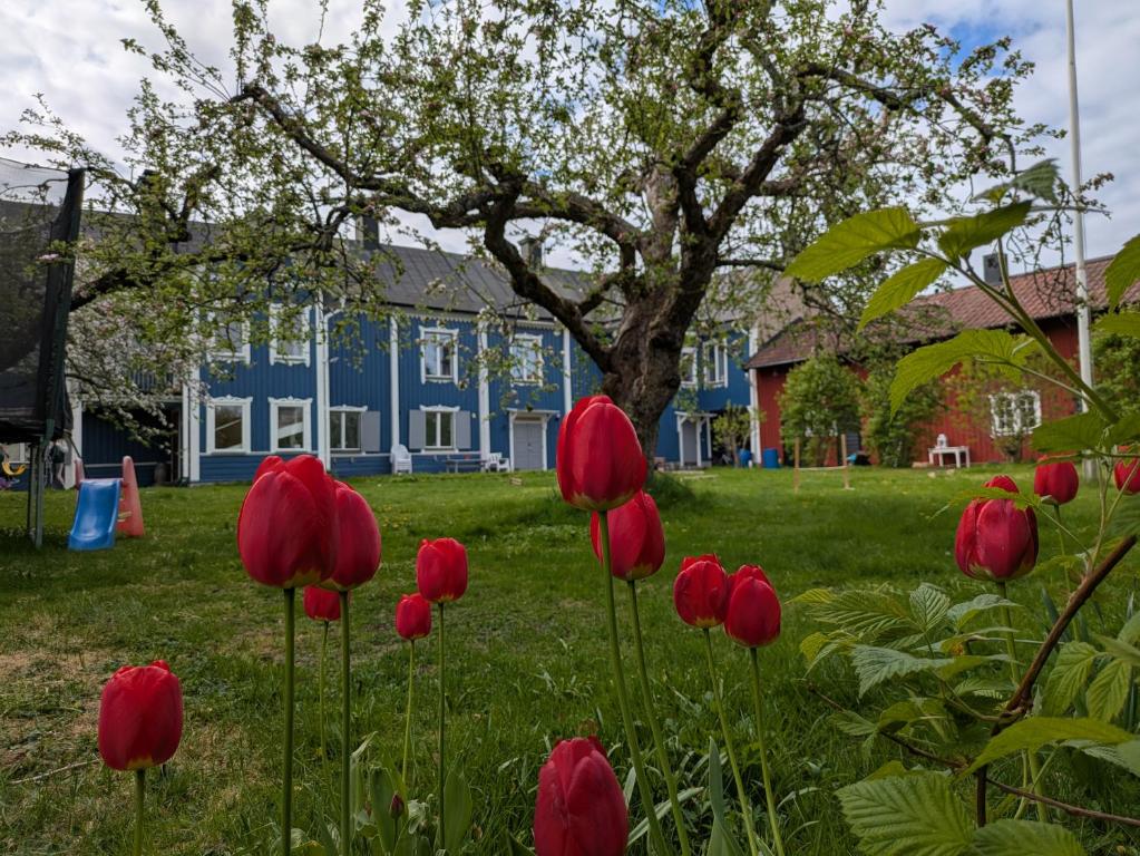 Zahrada ubytování Hostel Räntmästaregården