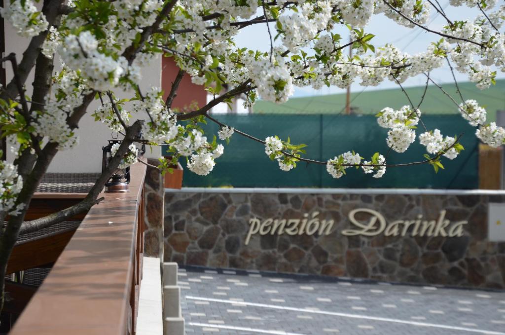 Penzión Darinka - Resim 27