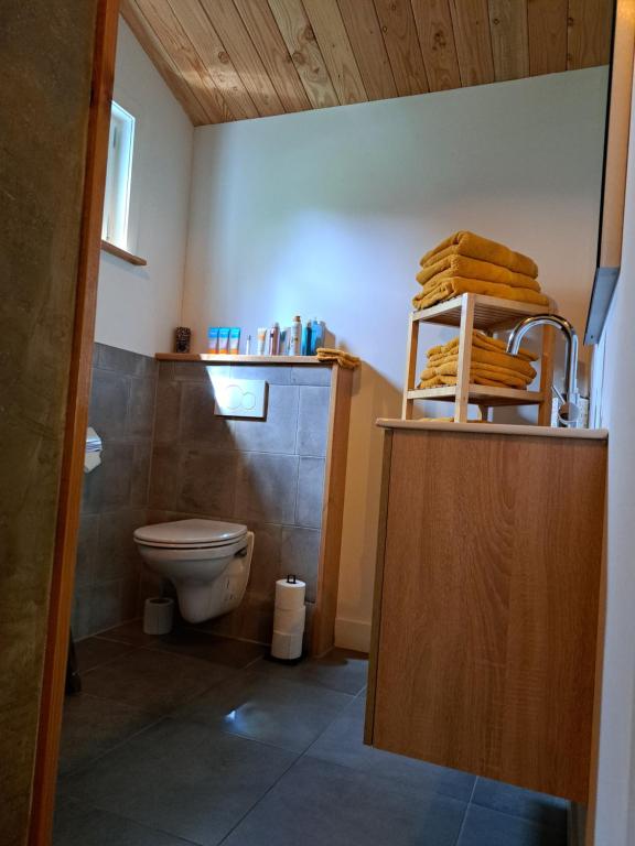 Koupelna v ubytování Het Buitenleven