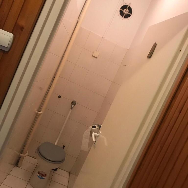 a bathroom with a toilet and a toilet paper roll at Mohi Private in Budapest