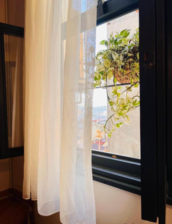 Fotografie z fotogalerie ubytování White Inn Taksim v destinaci Istanbul
