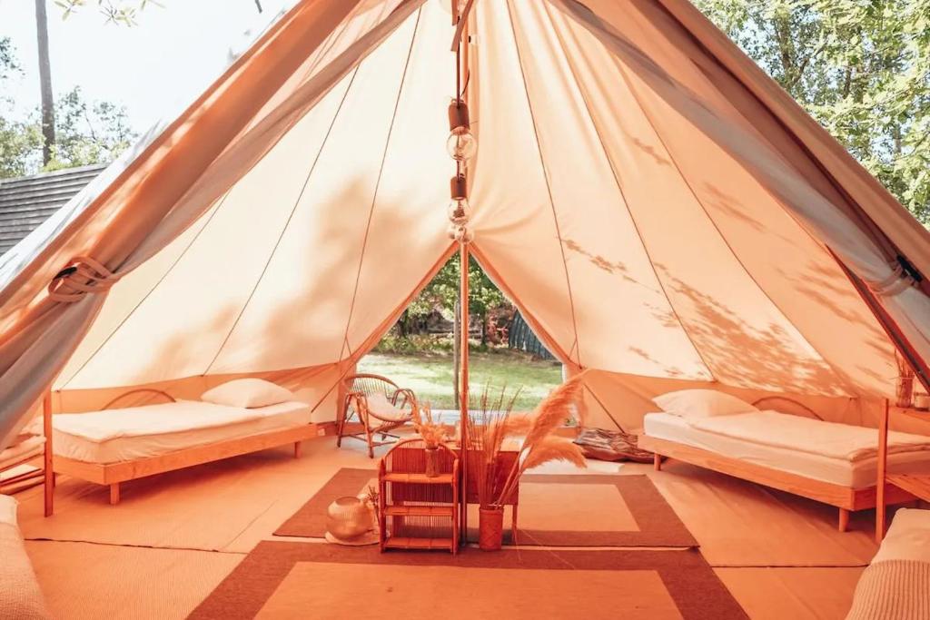une tente avec deux lits et un chat dans une pièce dans l'établissement Family surfcamp Messanges, à Messanges