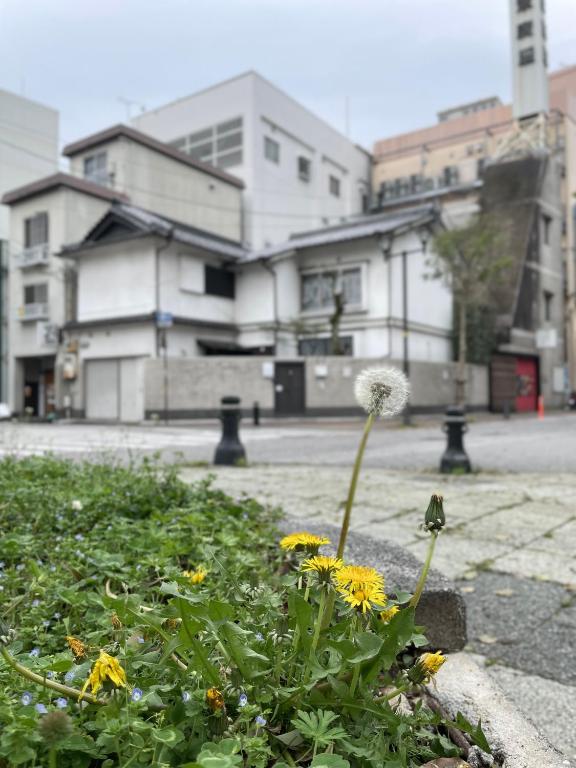 a garden with yellow flowers in the middle of a street at Guest House BONITO in Kochi