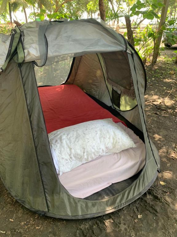 Fotografie z fotogalerie ubytování Camping Babsita-TIPI und Hütten und Stellplätze für Zelt und Camper direkt am Meer und See v destinaci Tuba Creek