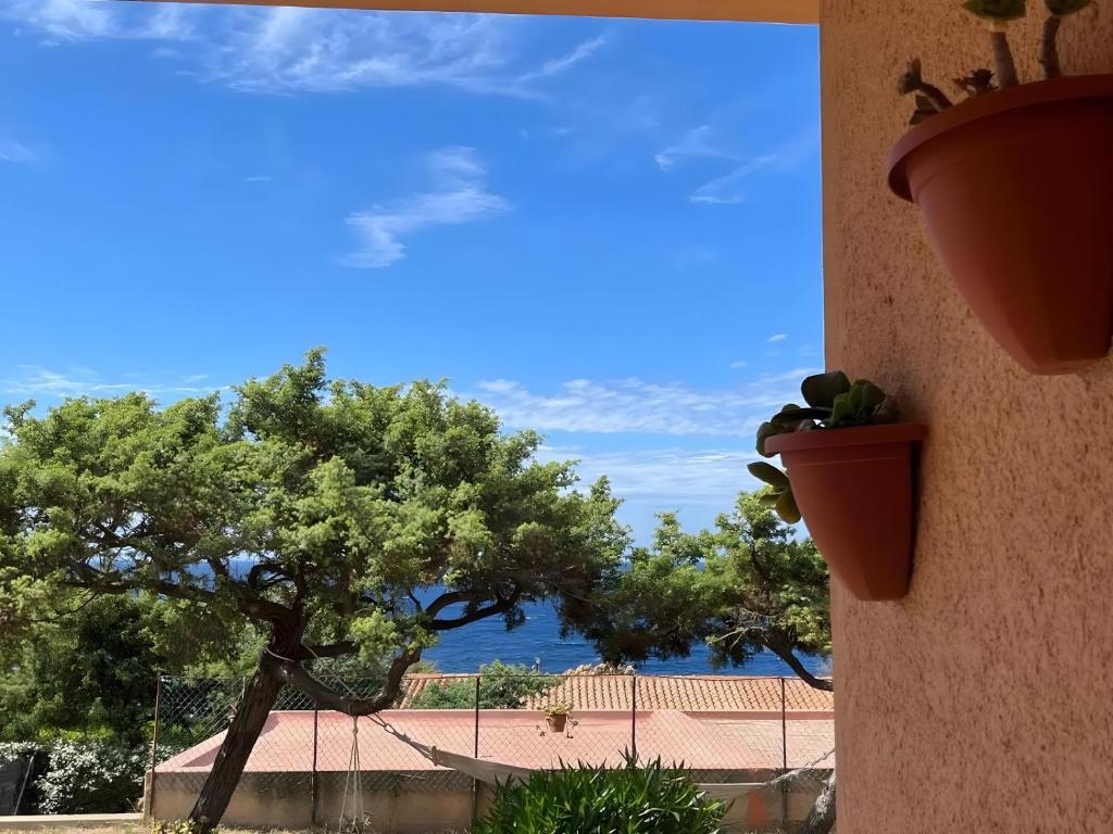 a view of a tree from a building with plants at Villa Alba in Costa Paradiso
