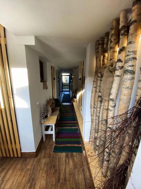 Fotografie z fotogalerie ubytování Casa Lucia v destinaci Dămuc