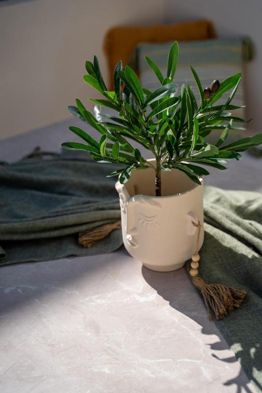 Selected Suites - Resim 37