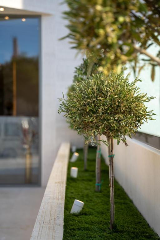 Selected Suites - Resim 28