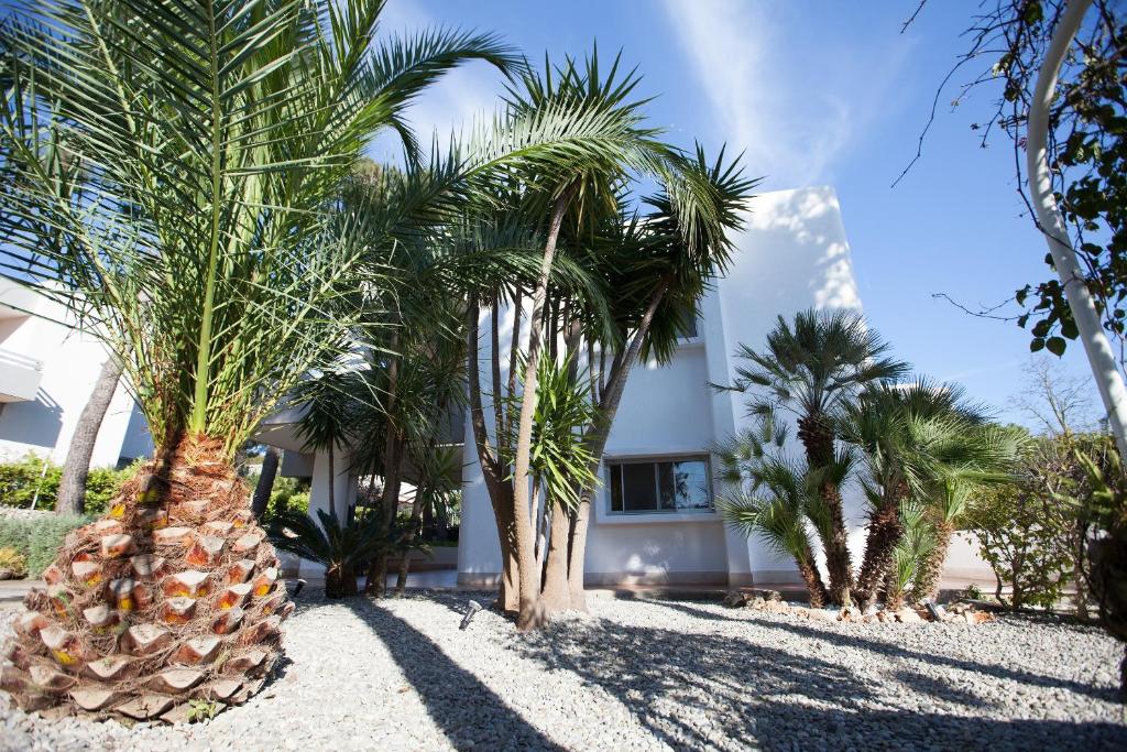 een gebouw met palmbomen ervoor bij Phalanthos B&B in Leporano