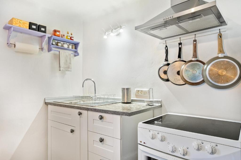 Kuchyň nebo kuchyňský kout v ubytování Apartma Hiša Pliska