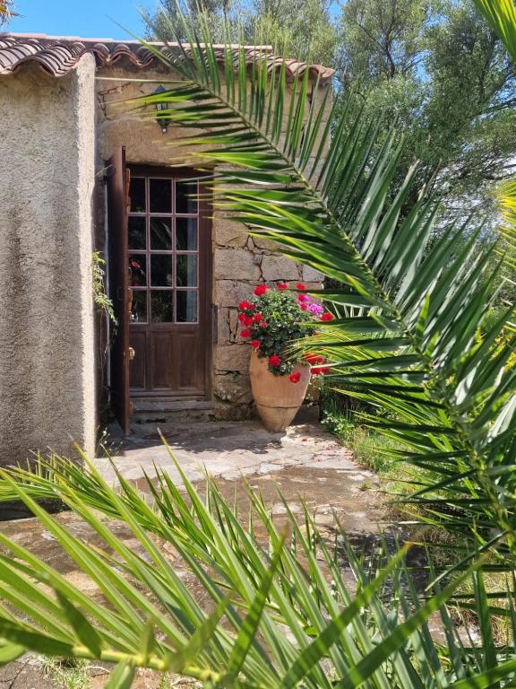 une maison avec une porte et une plante avec des fleurs dans l'établissement U Cipressu, à La Celle-sous-Gouzon