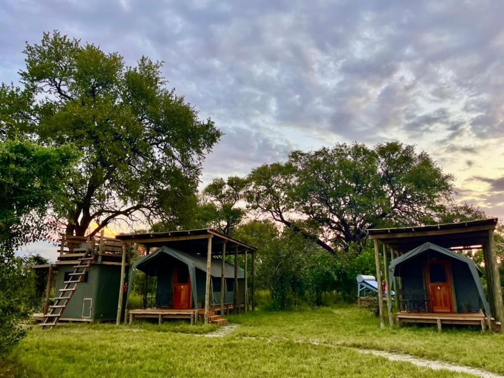 The Termite Mound - Termite Tented