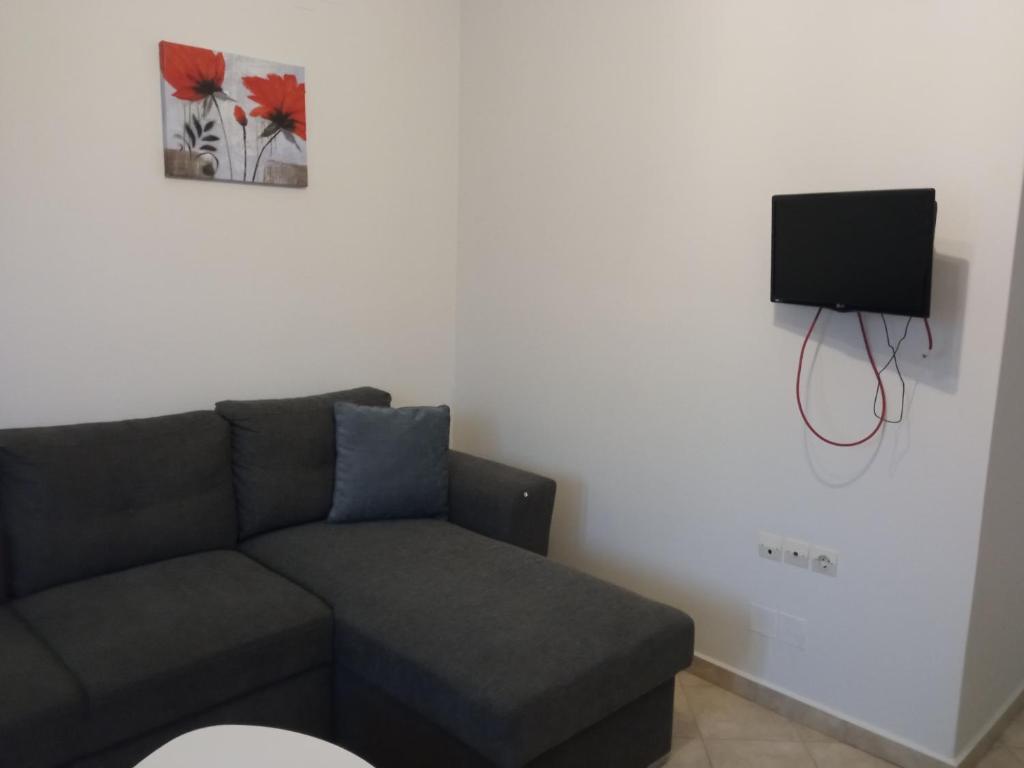 TV a/nebo společenská místnost v ubytování Danai