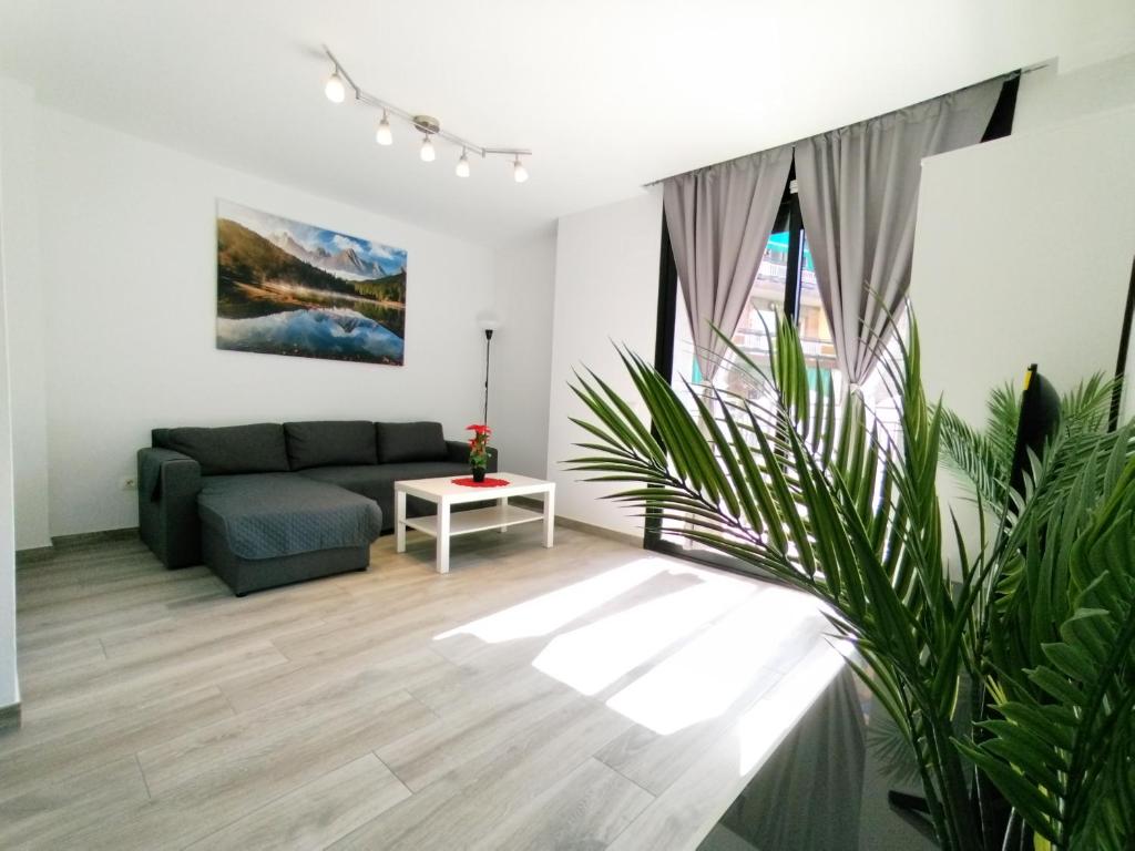 a living room with a couch and a plant at Nicolle Apartment Lloret de Mar in Lloret de Mar