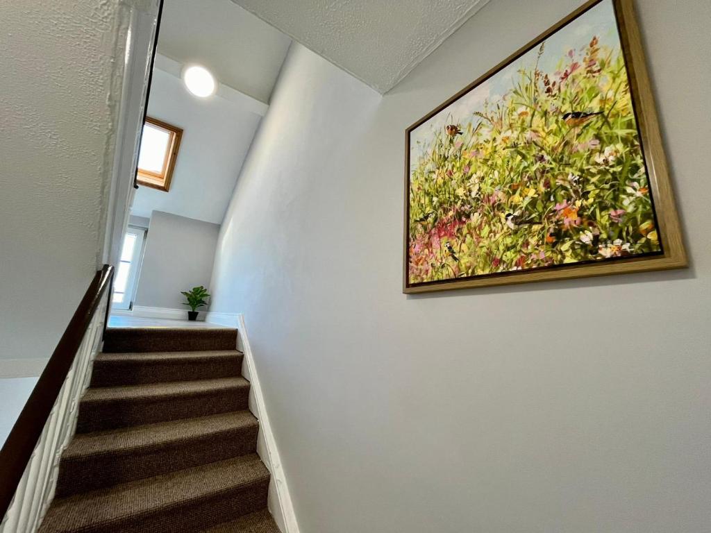 Fotografie z fotogalerie ubytování Shamrock Inn v destinaci Cork