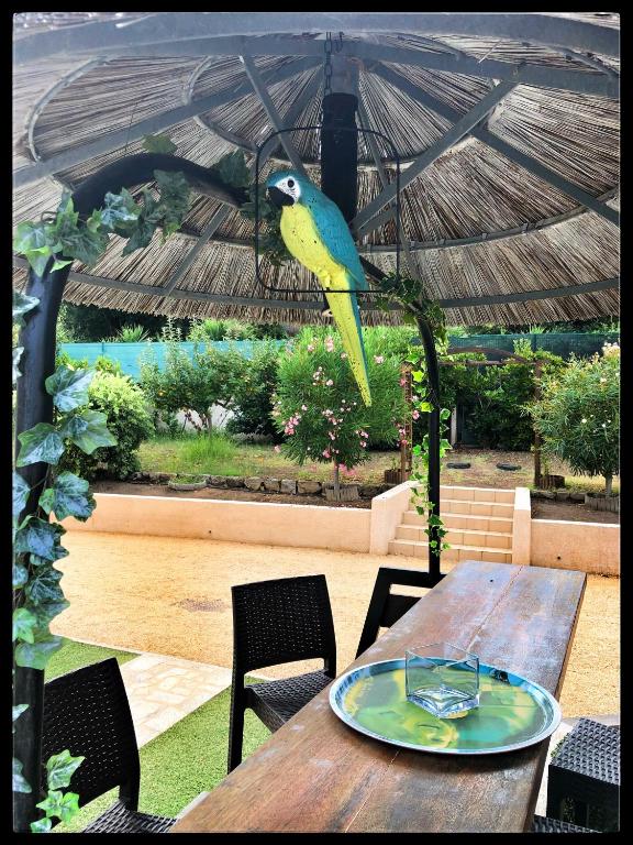 un oiseau perché sur une table avec une assiette dessus dans l'établissement Résidence Dicieppo, à Ajaccio