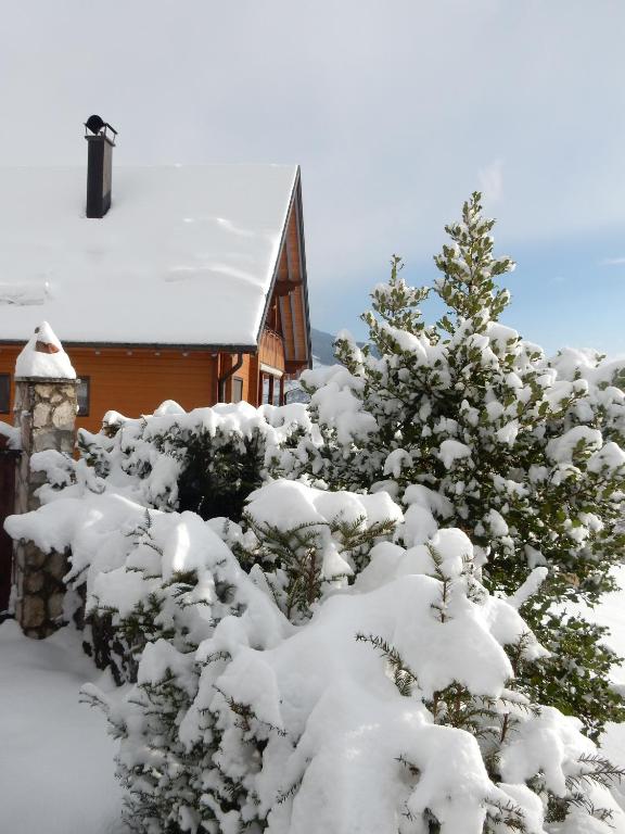 a snow covered tree in front of a house at Les hauts du Schliffels in Fellering