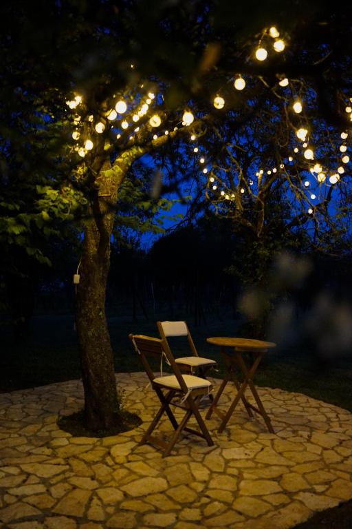 Fotografie z fotogalerie ubytování Luxury Vineyard Retreat with Private Jacuzzi v destinaci Szigetvár