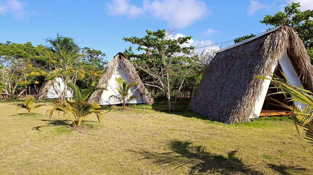 Zahrada ubytování Eco Lodges & Camping Cooper Ranch Macao Beach Punta Cana