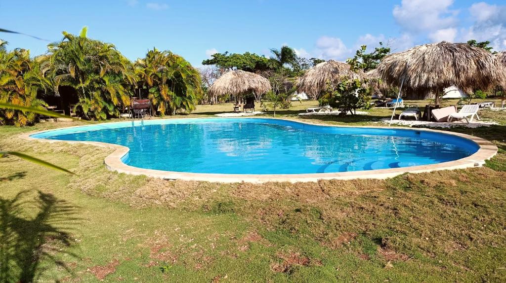 Bazén v ubytování Eco Lodges & Camping Cooper Ranch Macao Beach Punta Cana nebo v jeho okolí