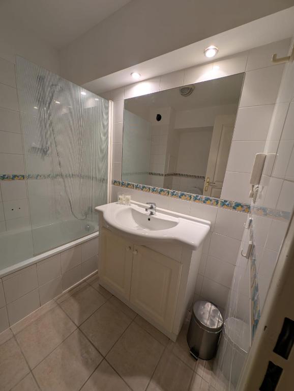 une salle de bain avec un lavabo, une douche et un miroir dans l'établissement Studio Apart Monaco Palais, à Rocquencourt